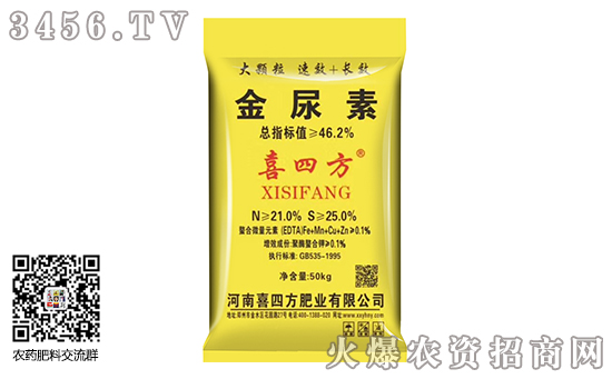 2020��1��19�Շ������؃r���Ј������Ո�