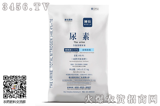 �����Ј�С�����Ӟ�����2020-6-11���؃r�������r