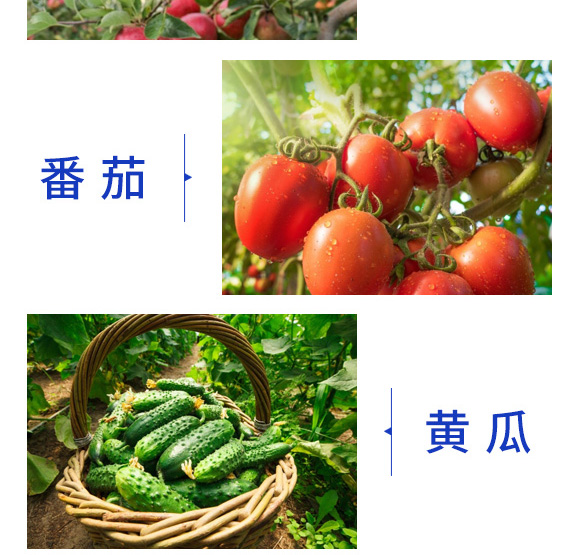 �V�V��ֲ�-⁘O-������