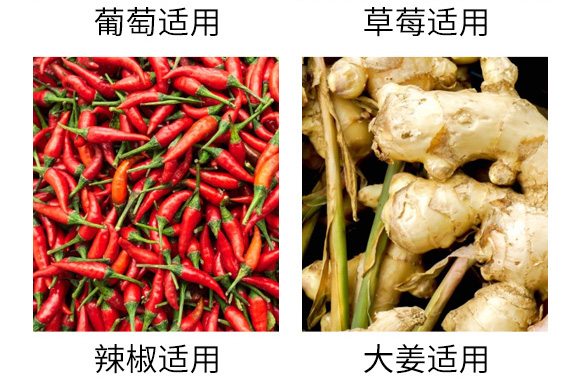 大棚專用降溫劑-利涼-沃億佳 大棚專用降溫劑-利涼-沃億佳