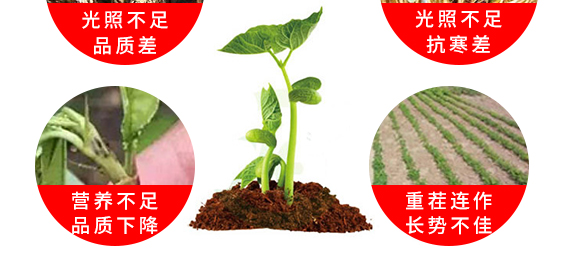 ΢�������-������-����̩