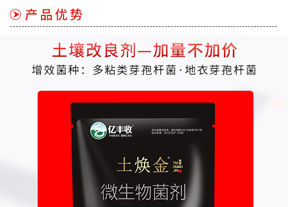 ΢�������-������-����̩