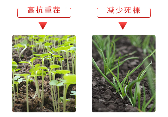 ΢�������-������-����̩