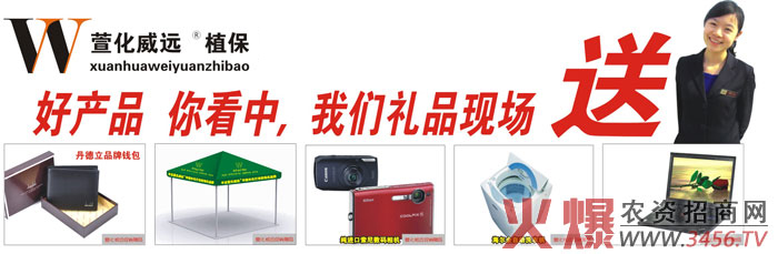 �����滯���h�r�I�Ƽ����޹�˾