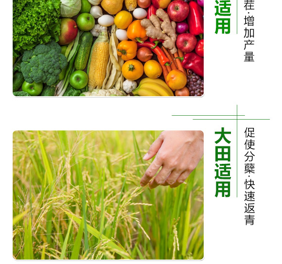 ���Ķ�ø�������27-13-8-���ﱣ-���