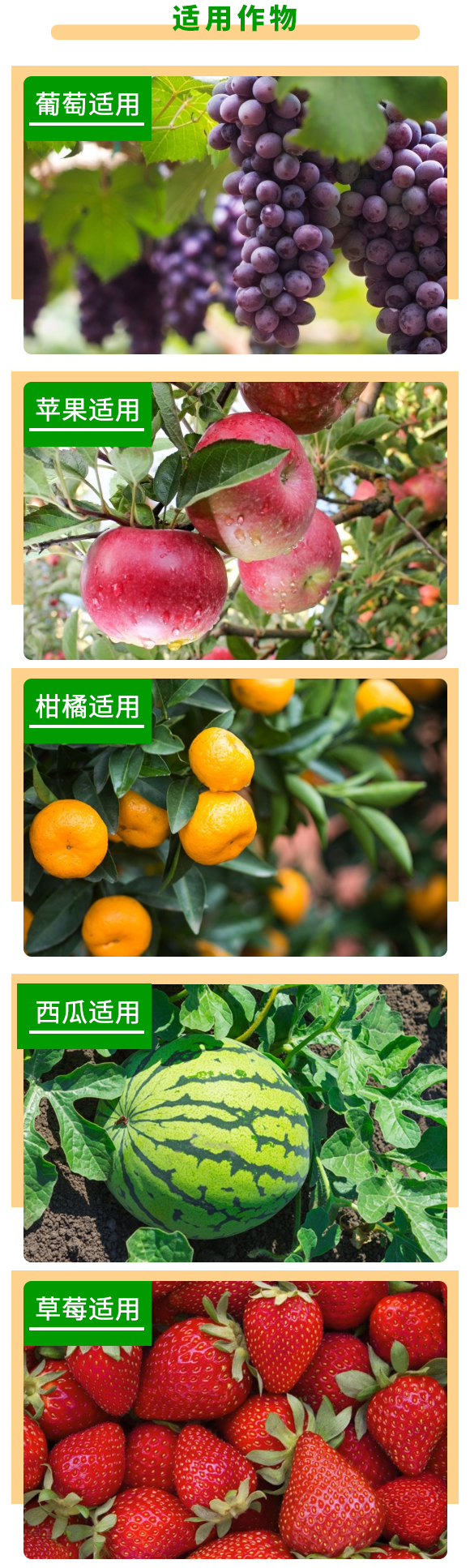 原生態(tài)腐植酸-根力達(dá)-金正生物