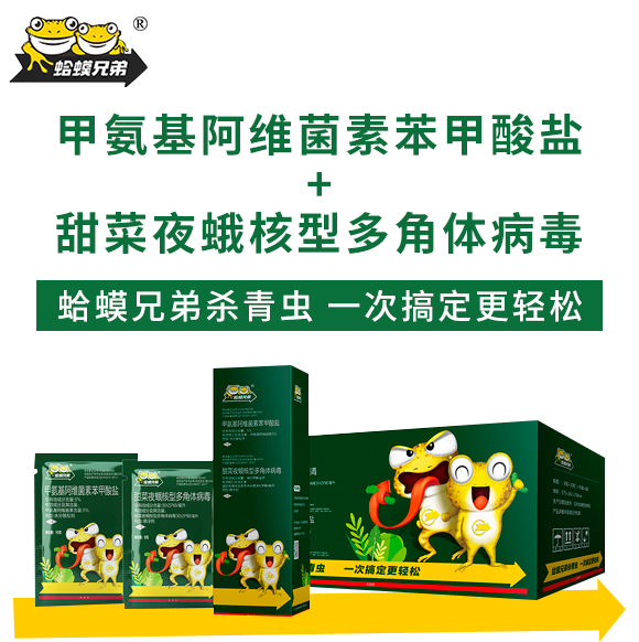 �װ������S���ر������}+���ҹ����Ͷ���w����-����ֵ�-�¹چ̵�