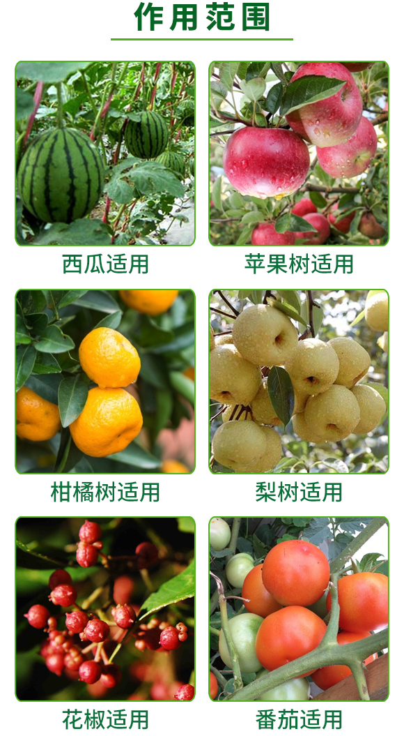 ����̼��ˮ�ܷ�-������-�W�¸�