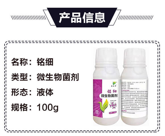 寰敓鐗╄弻鍓?閾粏_02.jpg 寰敓鐗╄弻鍓?閾粏_02.jpg