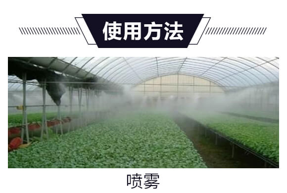 寰敓鐗╄弻鍓?閾粏_04.jpg 寰敓鐗╄弻鍓?閾粏_04.jpg