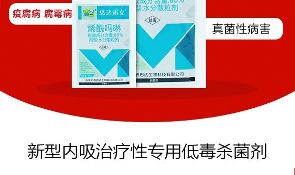 ϩ������-˼�_˪��-���r˼�_