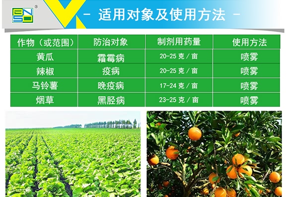 ϩ������-˼�_˪��-���r˼�_