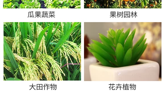 ϩ������-˼�_˪��-���r˼�_