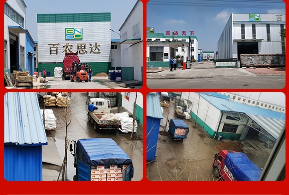 ϩ������-˼�_˪��-���r˼�_