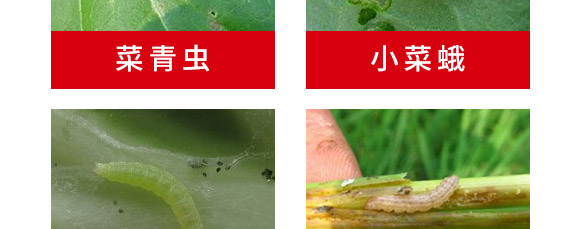 ���Ժ��x���ýM���ײ�-혈��r�I