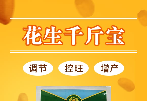 ����ǧ�-������-���̷ʘI