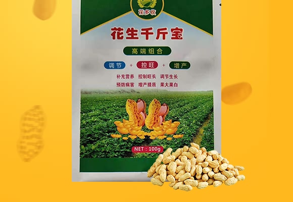 ����ǧ�-������-���̷ʘI