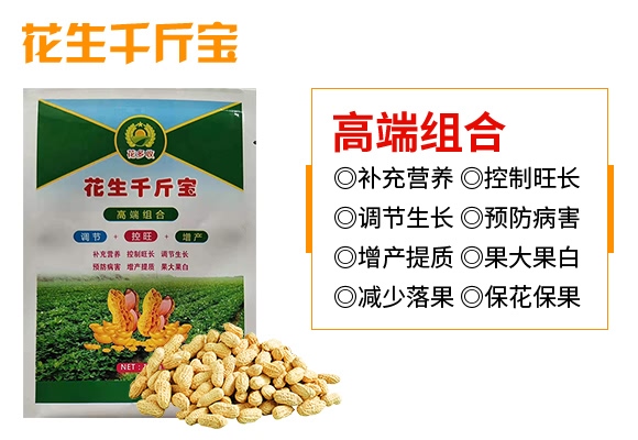 ����ǧ�-������-���̷ʘI