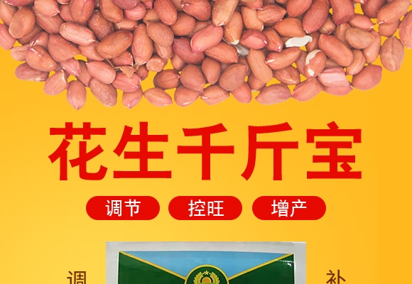 ����ǧ�-������-���̷ʘI