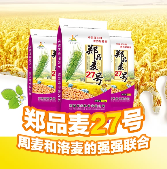 鄭品麥27號-小麥種子-邦邦種業 鄭品麥27號-小麥種子-邦邦種業