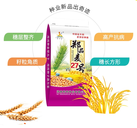 鄭品麥27號-小麥種子-邦邦種業 鄭品麥27號-小麥種子-邦邦種業
