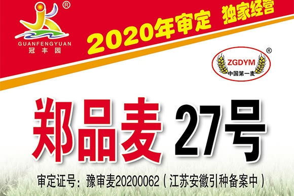鄭品麥27號-小麥種子-邦邦種業 鄭品麥27號-小麥種子-邦邦種業