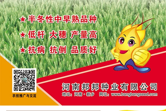 鄭品麥27號-小麥種子-邦邦種業 鄭品麥27號-小麥種子-邦邦種業