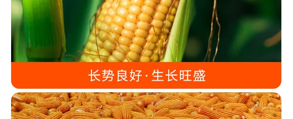 �������28-10-12���{ɫ��-���S