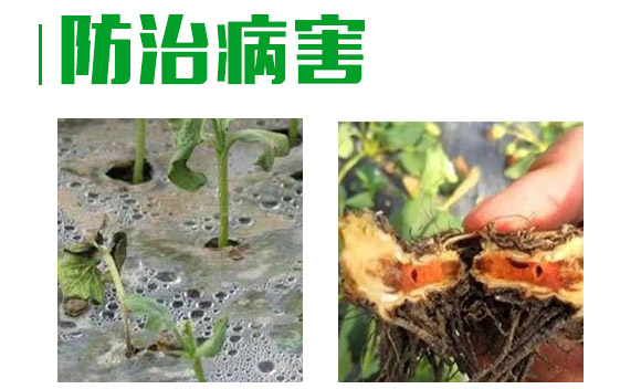 3%��˪���fù�`ˮ��-�o��-�L�p�rˎ