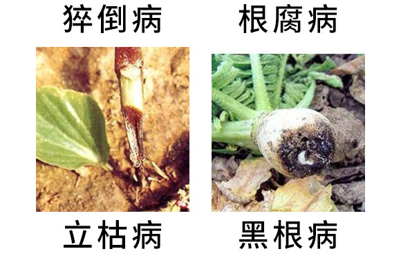 3%��˪���fù�`ˮ��-�o��-�L�p�rˎ