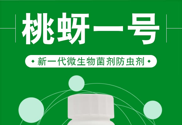 ����һ̖(h��o)-����ɭ