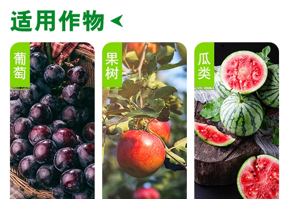 ����һ̖(h��o)-����ɭ