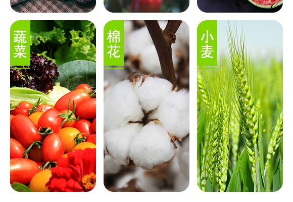 ����һ̖(h��o)-����ɭ