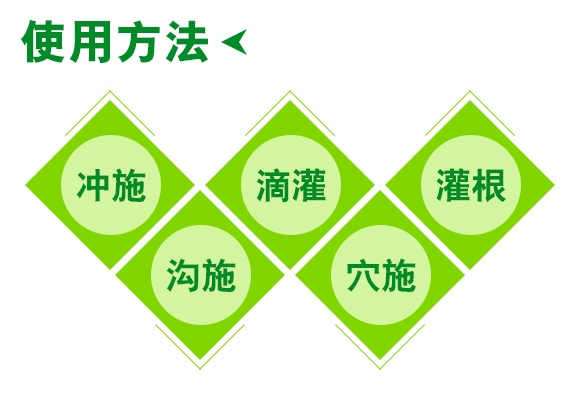 ����һ̖(h��o)-����ɭ