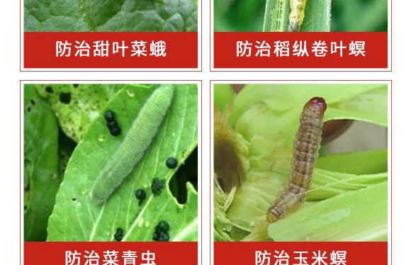 �׾S���x����-ʭ����-�����r(n��ng)��