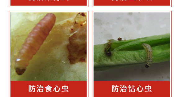 �׾S���x����-ʭ����-�����r(n��ng)��