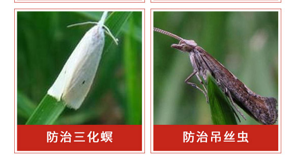 �׾S���x����-ʭ����-�����r(n��ng)��