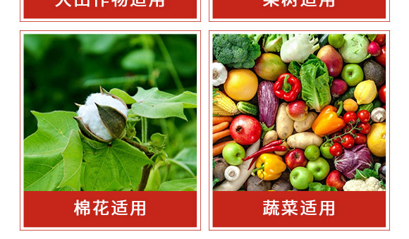 �׾S���x����-ʭ����-�����r(n��ng)��