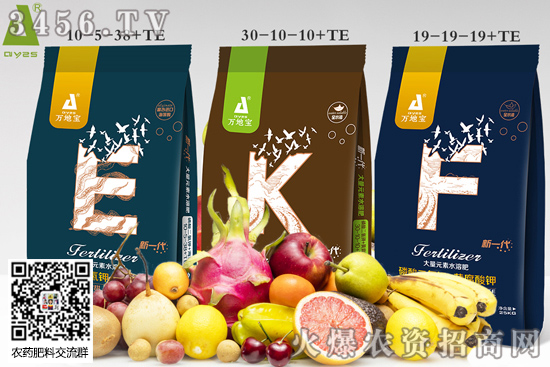 2020年仙居楊梅什么時(shí)候上市 仙居楊梅哪里好 仙居楊梅價(jià)格多少錢一斤 2020年仙居楊梅什么時(shí)候上市 仙居楊梅哪里好 仙居楊梅價(jià)格多少錢一斤