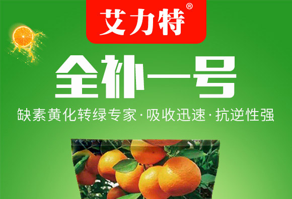 ȫ�aһ̖-������-�����S