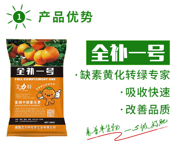 ȫ�aһ̖-������-�����S