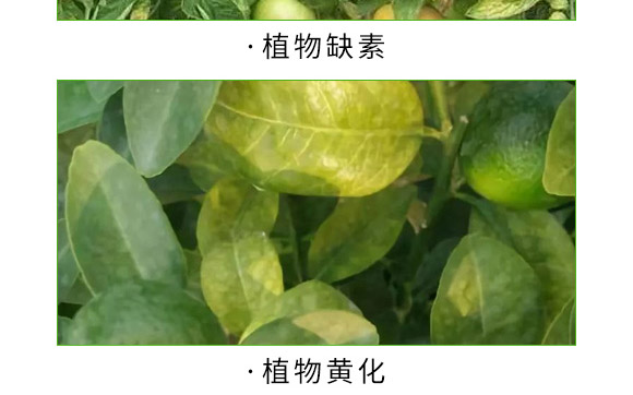 ȫ�aһ̖-������-�����S