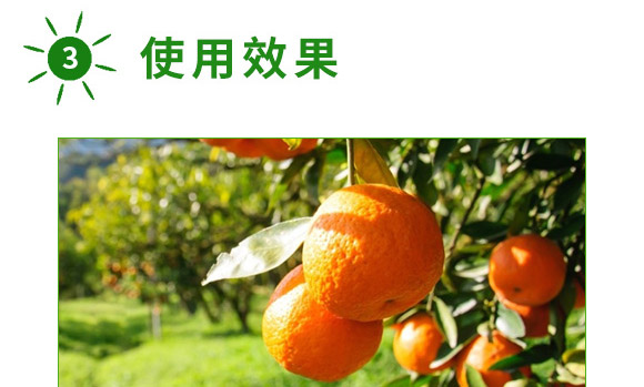 ȫ�aһ̖-������-�����S