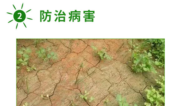 ����+�ך���-�����ʹ�-�����S