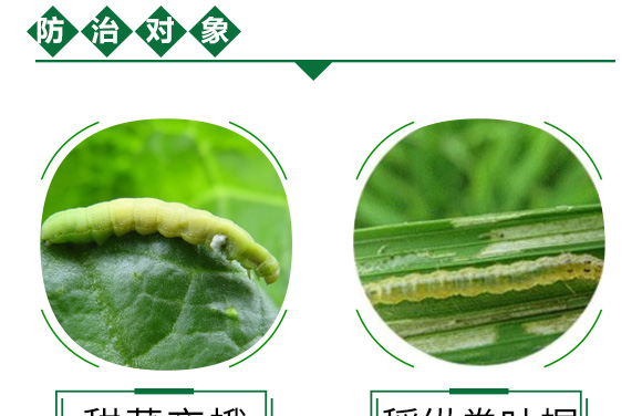 �װ������S���ر������}+���ҹ����Ͷ���w����-����ֵ�-�¹چ̵�