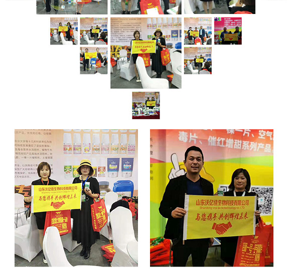 高效大棚專用降溫劑-利涼-沃億佳 高效大棚專用降溫劑-利涼-沃億佳