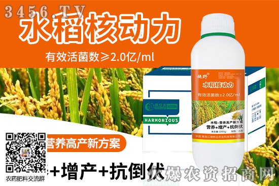 擱田一般在水稻的什么時候 何時合適 水稻擱田作用 擱田一般在水稻的什么時候 何時合適 水稻擱田作用