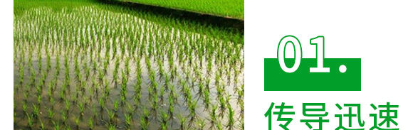 5g�fù�`ˮ��ɢ����-����-�L�p�rˎ