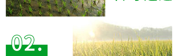 5g�fù�`ˮ��ɢ����-����-�L�p�rˎ