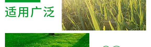 5g�fù�`ˮ��ɢ����-����-�L�p�rˎ